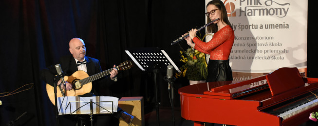 PinkHarmony a Online kultúra vo Zvolene