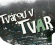 Tvárou v Tvar