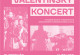 Valentínsky koncert 13.2.2025